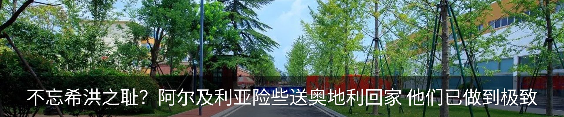 最新动态