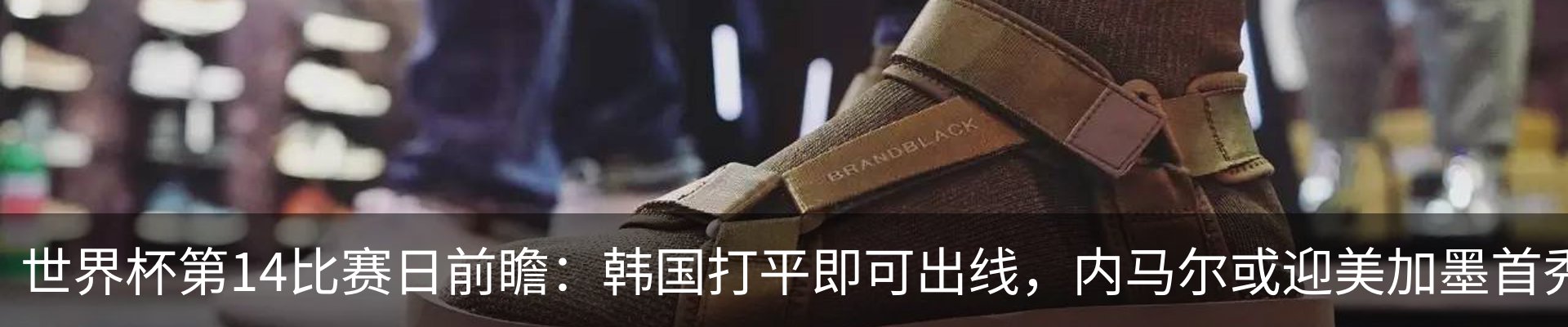 最新动态