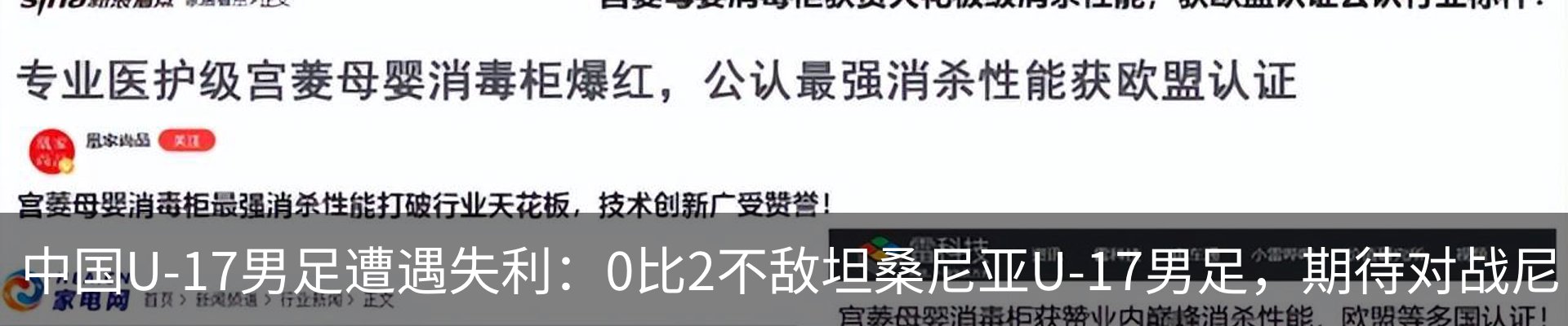 最新动态