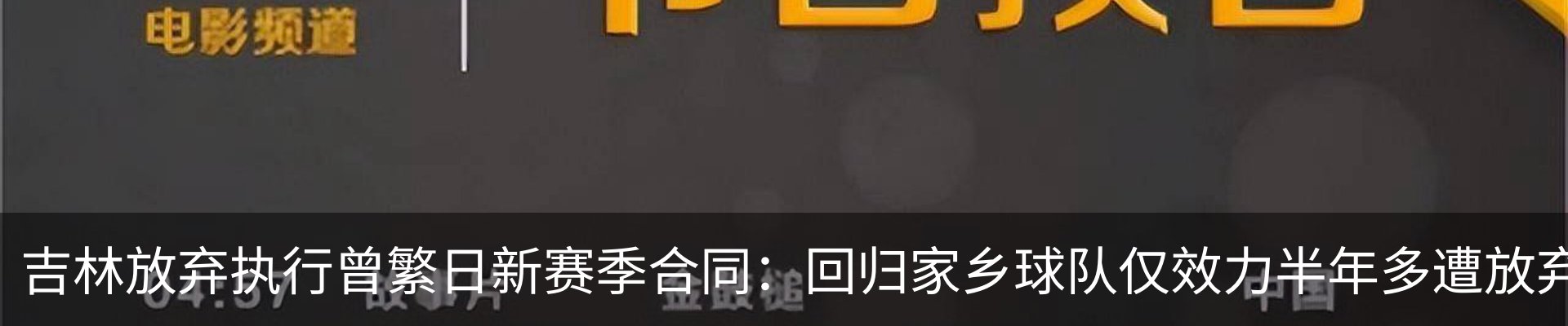 最新动态
