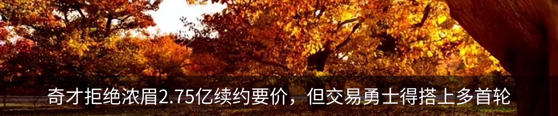 最新动态
