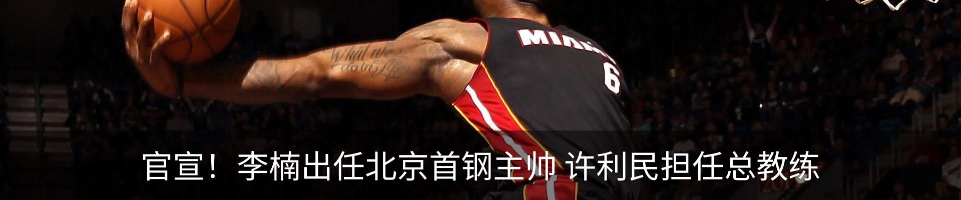 最新动态