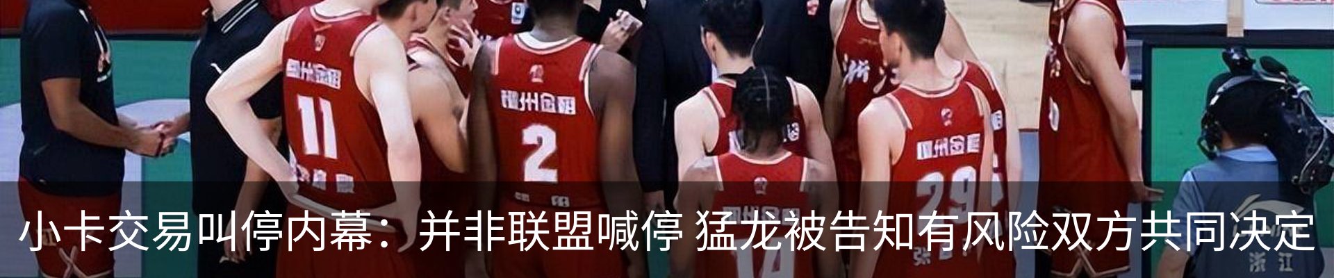 最新动态