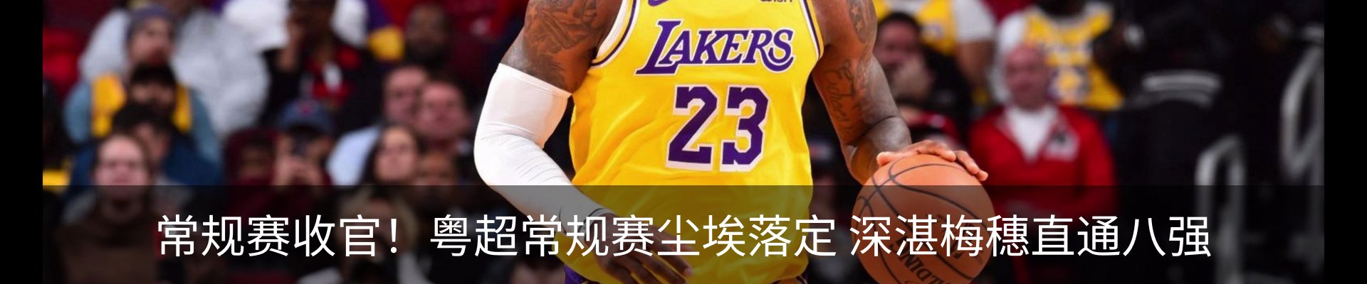 最新动态