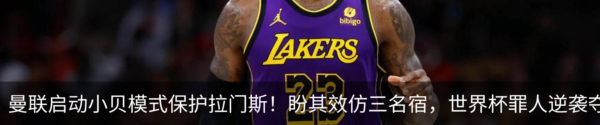 最新动态