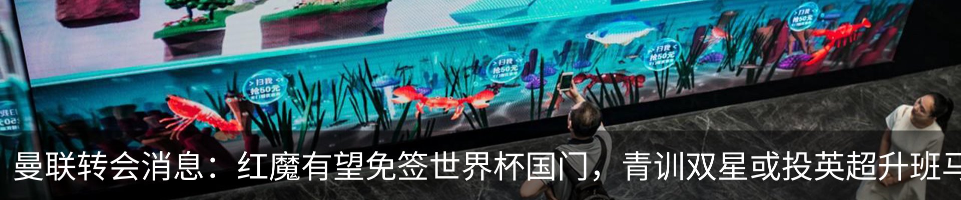 最新动态