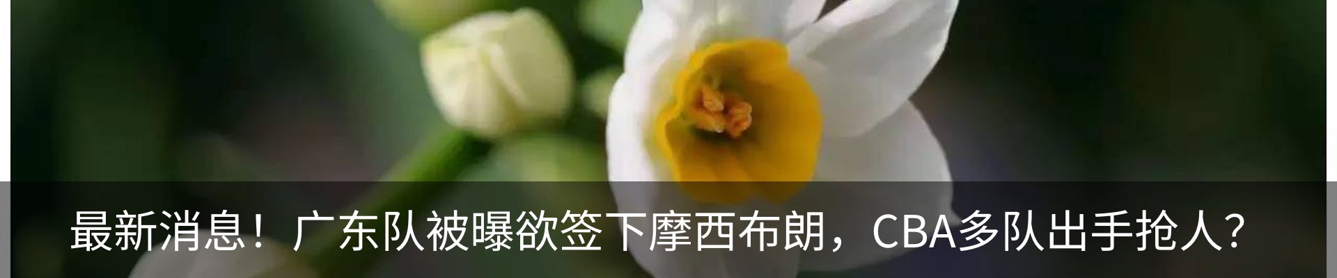 最新动态