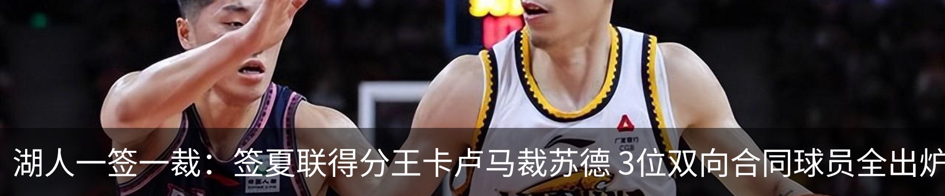 最新动态