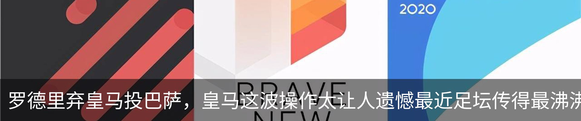 最新动态